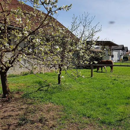 Manca Apartman Ljubljana