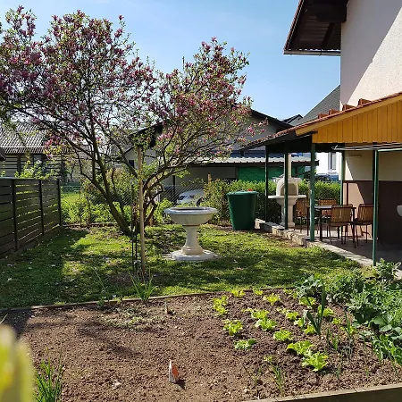 Manca Apartmán